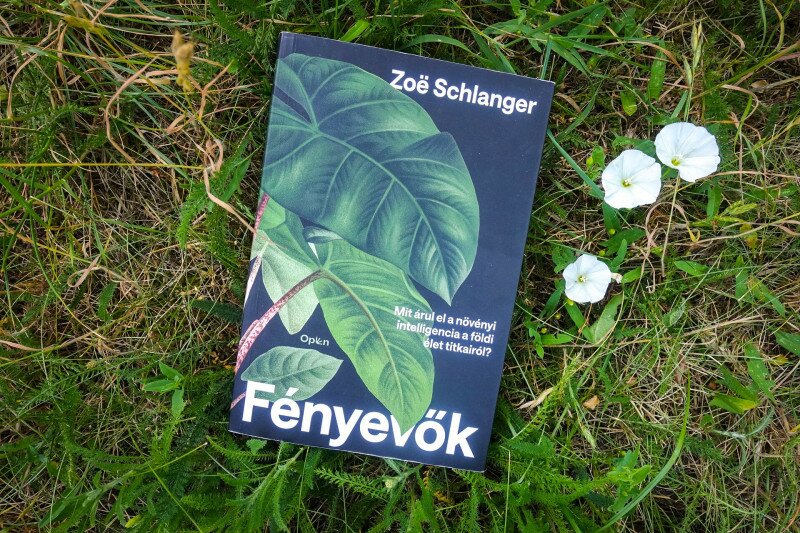 Zoë Schlanger Fényevők című kötete